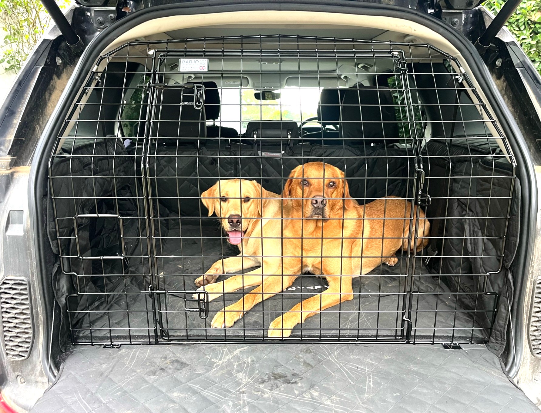 diesel and winston 24.jpg